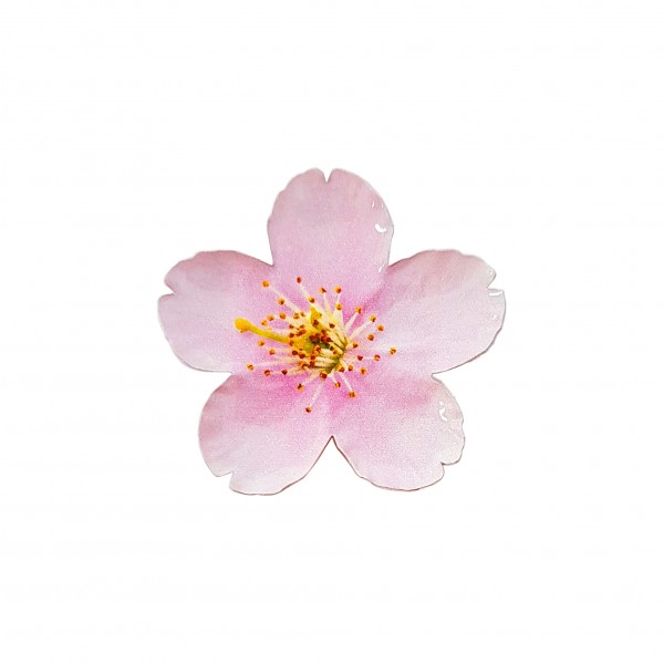 路易威登B Blossom與Color Blossom系列怎麼分? LV 2021年新款一次擁有!