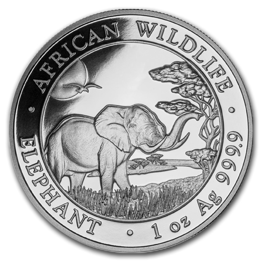 2019 oz 100 Shillings Somalia African Silver Elephant Coin BU European  Mint