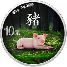 2019 30g ¥10 CNY Chinese Silver Panda Lunar Year of The Pig Coin