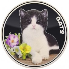 2022 1oz $0.50 Fiji Cats Silver Colorized Coin (In Capsule)