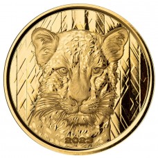 2023 1 oz GH₵500 Cedis ‎Ghana African Leopard Proof Gold Coin (with Gift Box and COA) (PRE-SALE)