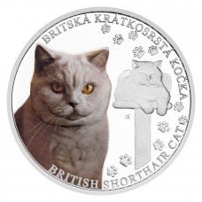 2024 1 oz $1 NZD Niue Cat Breeds – British Short Hair Coloured Proof Silver Coin (with Gift Box and COA) (PRE-SALE)