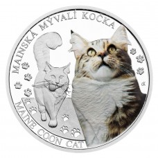 2024 1 oz $1 NZD Niue Cat Breeds – Maine Coon Coloured Proof Silver Coin (with Gift Box and COA) (PRE-SALE)